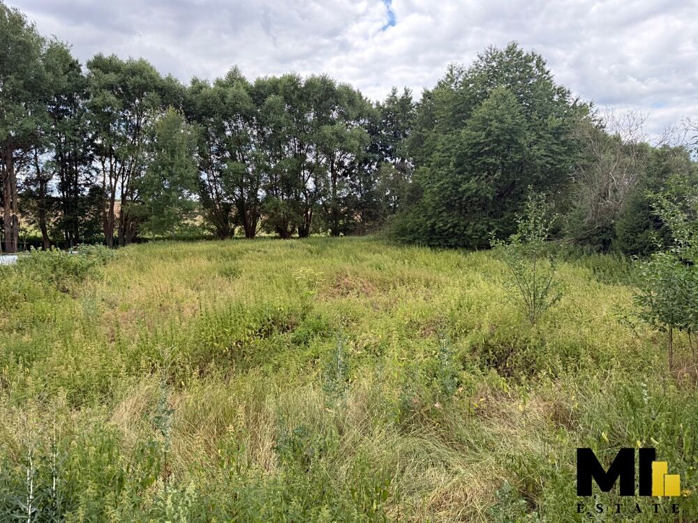 Prodej louky 1500 m², Horšovský Týn – fotka 1 z 3