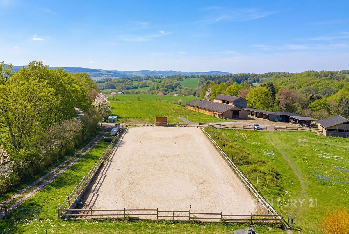 Prodej zemědělské usedlosti 1100 m², pozemek 91674 m² – fotografie 3