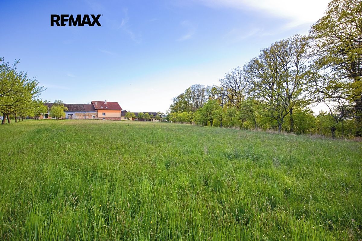 Prodej pole 4674 m² – fotografie 4