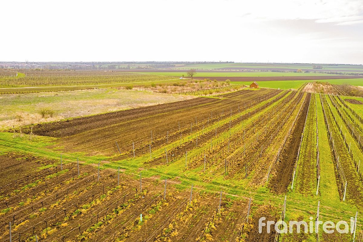 Prodej stavebního pozemku 3646 m²