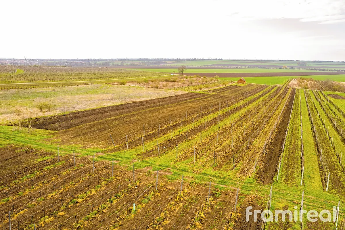 Prodej stavebního pozemku 3646 m²