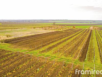 Prodej stavebního pozemku 3646 m²
