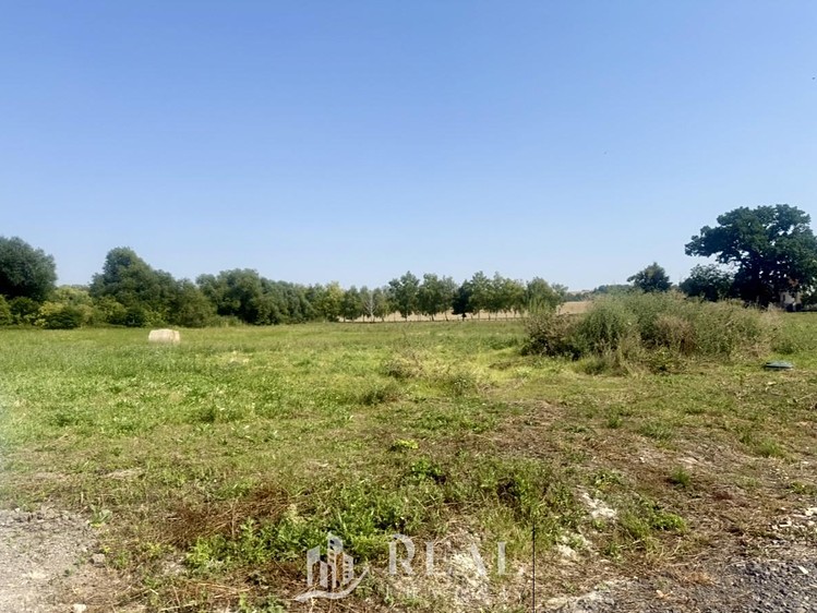Prodej pozemku, 995 m² (4 z 8)