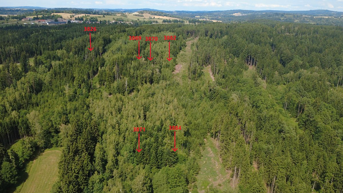Prodej lesa 48886 m² – fotografie 4