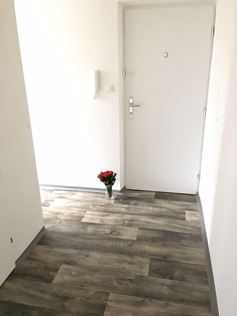 Pronájem bytu 2+1 54 m² – fotografie 4