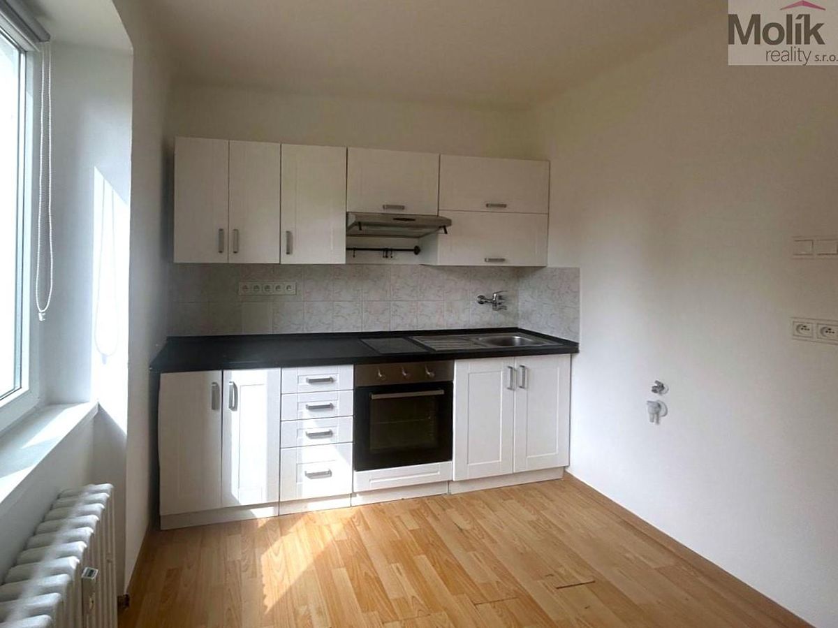 Pronájem bytu 1+1 30 m² – fotografie 3