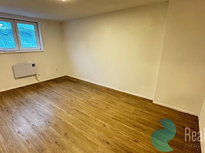Pronájem bytu 2+1 53 m²