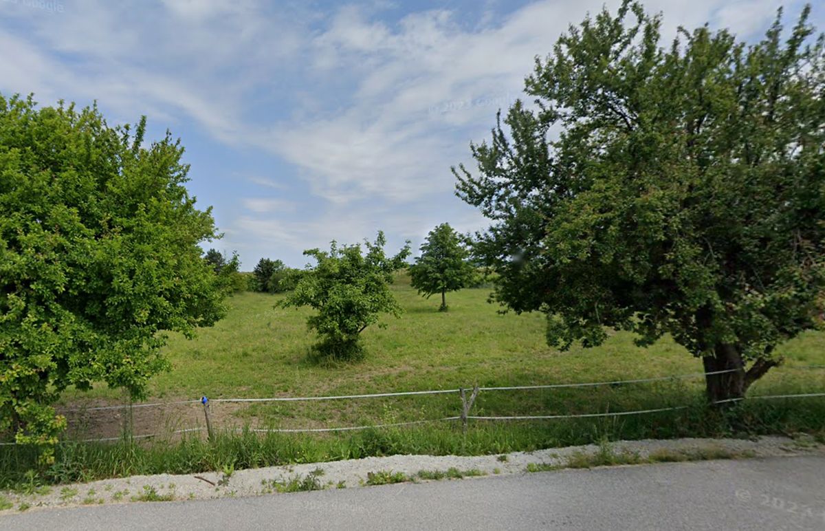 Prodej zahrady 3150 m² – fotografie 2