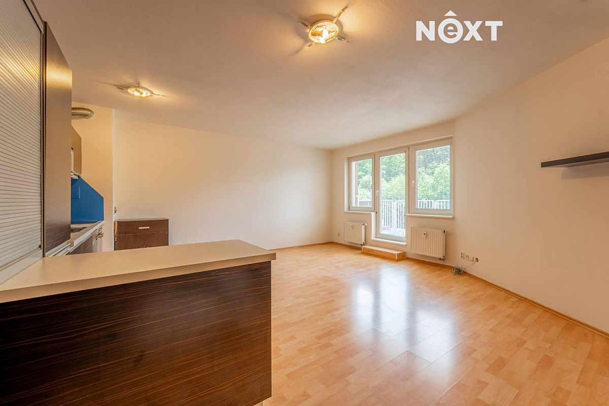 Pronájem bytu 2+kk 56 m²