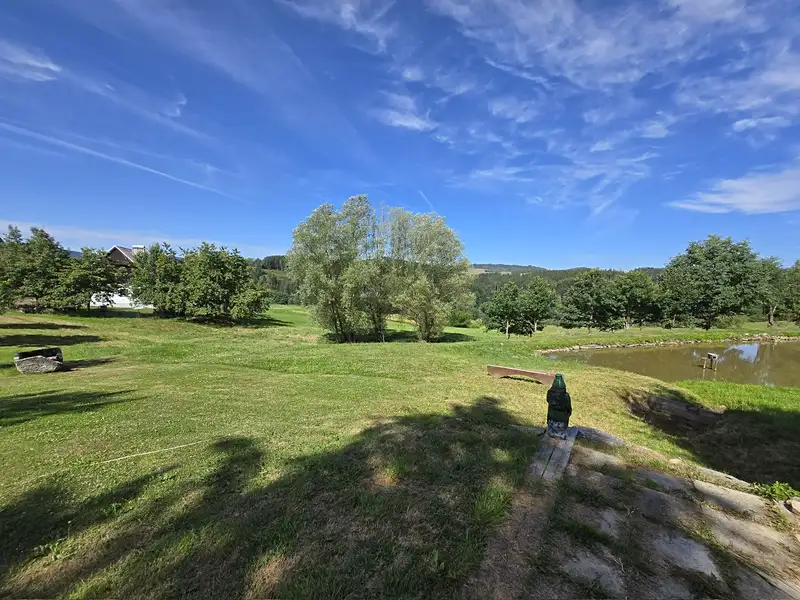Prodej louky 562199 m², Dolní Dvořiště – náhled fotky 1