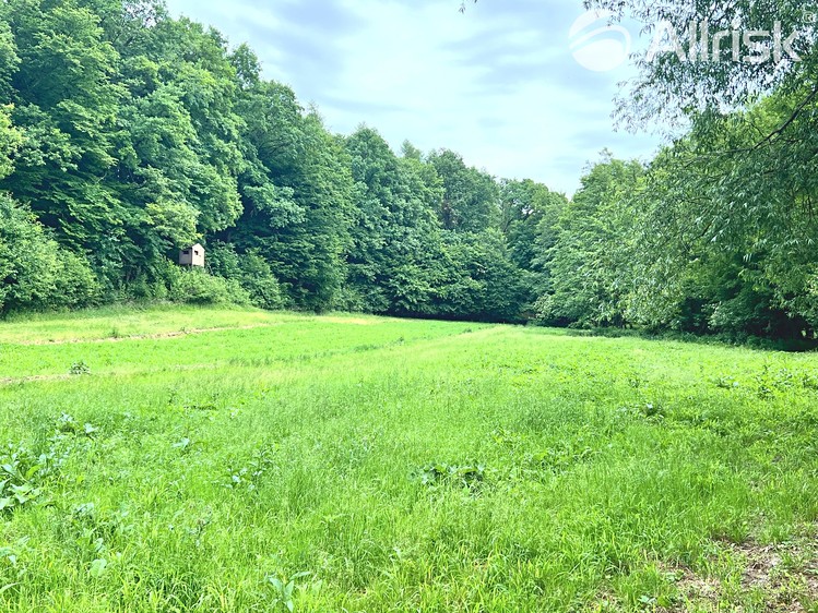 Prodej pozemku, 3 225 m² (6 z 24)