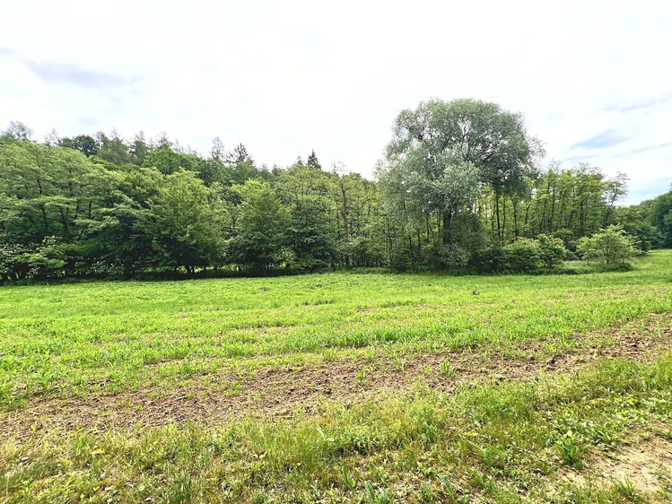 Prodej pozemku, 3 225 m² (9 z 24)