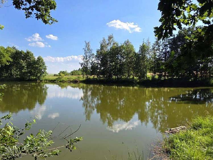 Prodej pozemku, 18 189 m² (4 z 8)