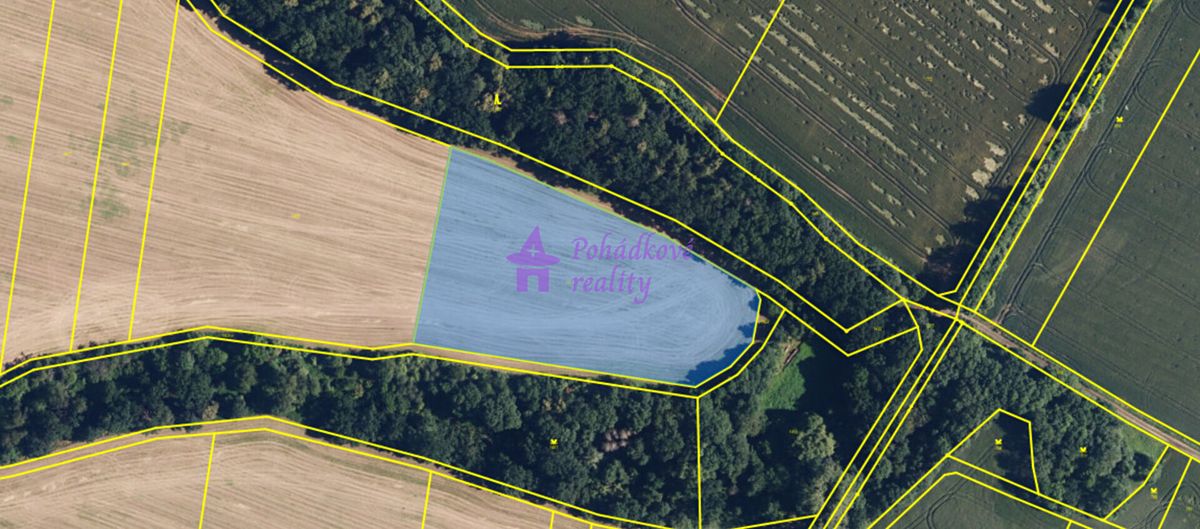 Prodej pole 11812 m² – fotografie 2