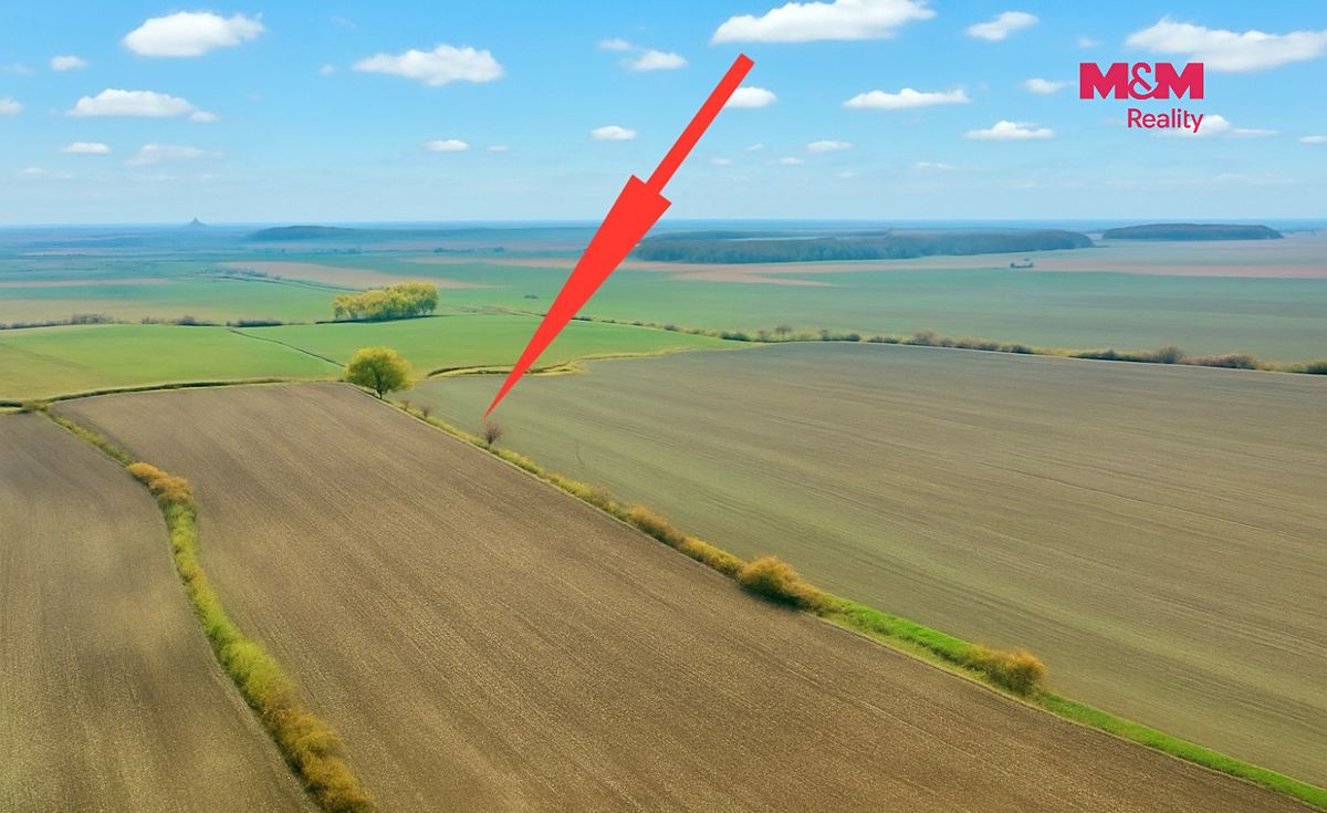 Prodej pole 7125 m² – fotografie 3