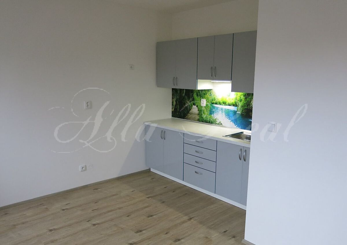Pronájem bytu 1+kk 32 m²