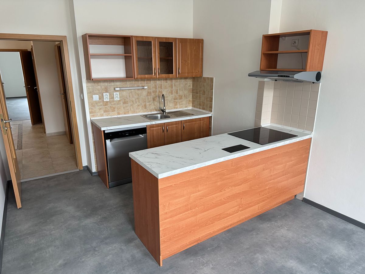 Pronájem bytu 4+kk 101 m²