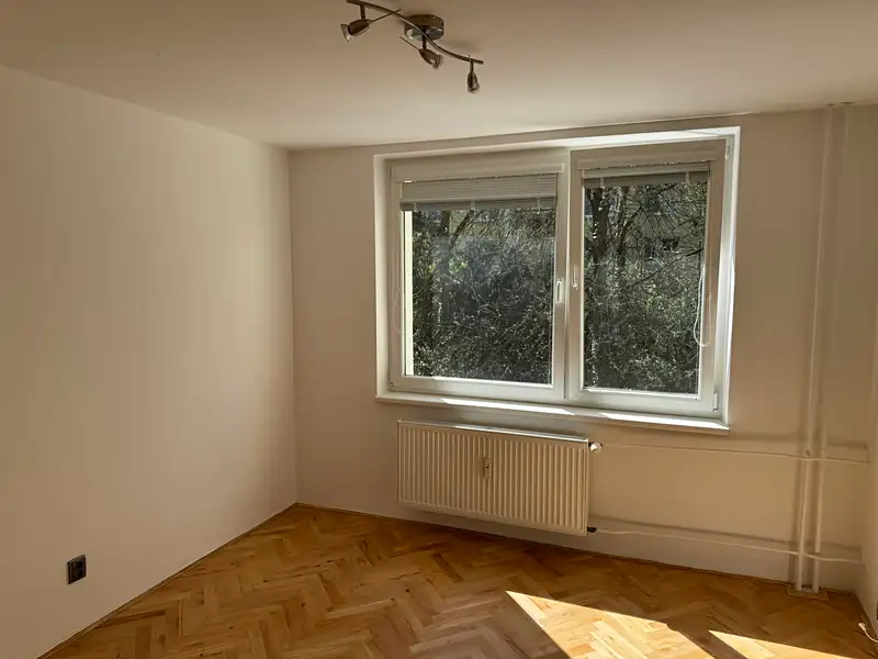 Prodej bytu 2+1 52 m², Brno – náhled fotky 2