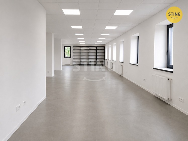 Pronájem komerčního prostoru, 247 m² (3 z 5)