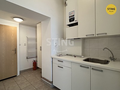 Gewerbefläche zur Miete, 38 m² (3 von 16)