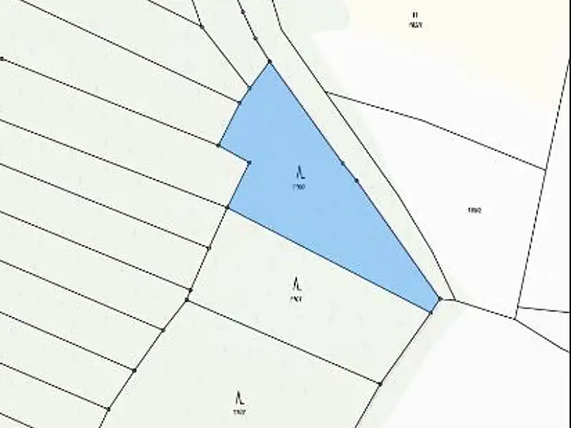 Prodej lesa 2352 m², Mladoňovice – náhled fotky 2