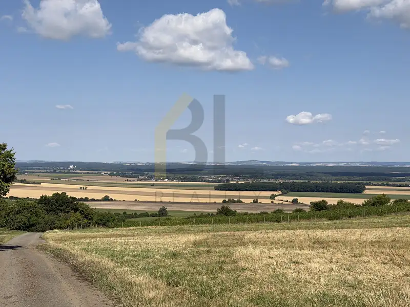 Prodej zahrady 3867 m², Strážnice – náhled fotky 3