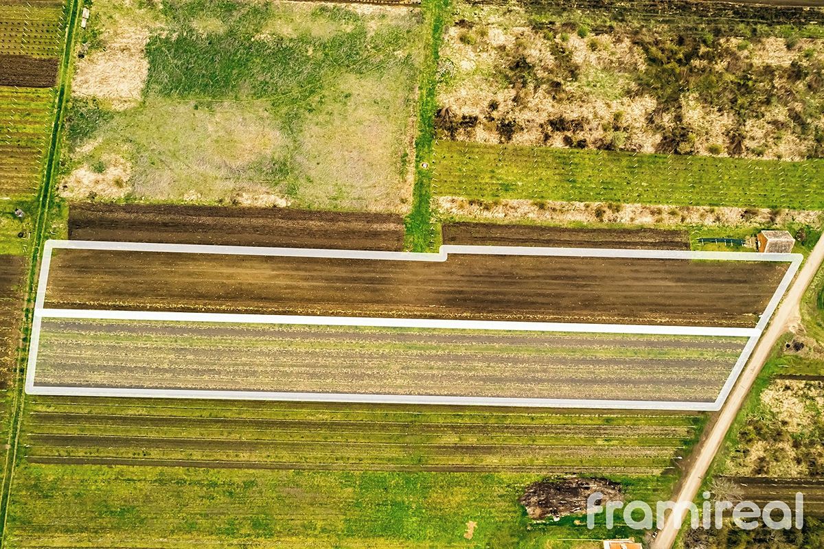 Prodej stavebního pozemku 3646 m² – fotografie 3
