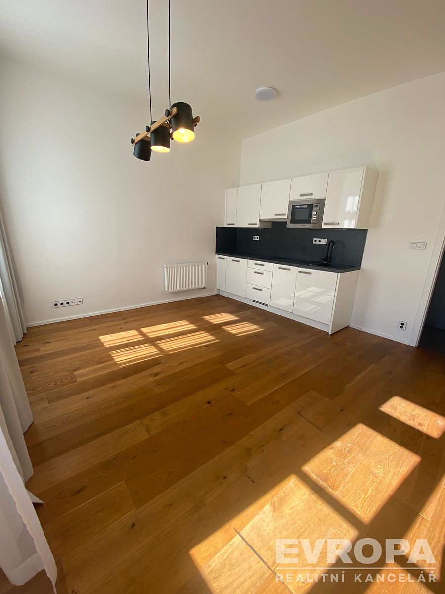Pronájem bytu 1+kk 31 m² – fotografie 3