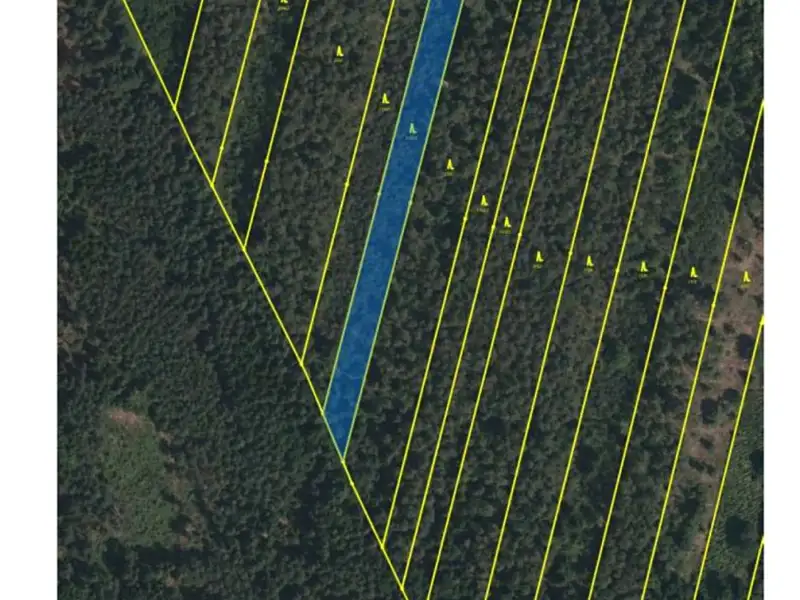 Prodej lesa 32388 m², Třeboň – náhled fotky 2