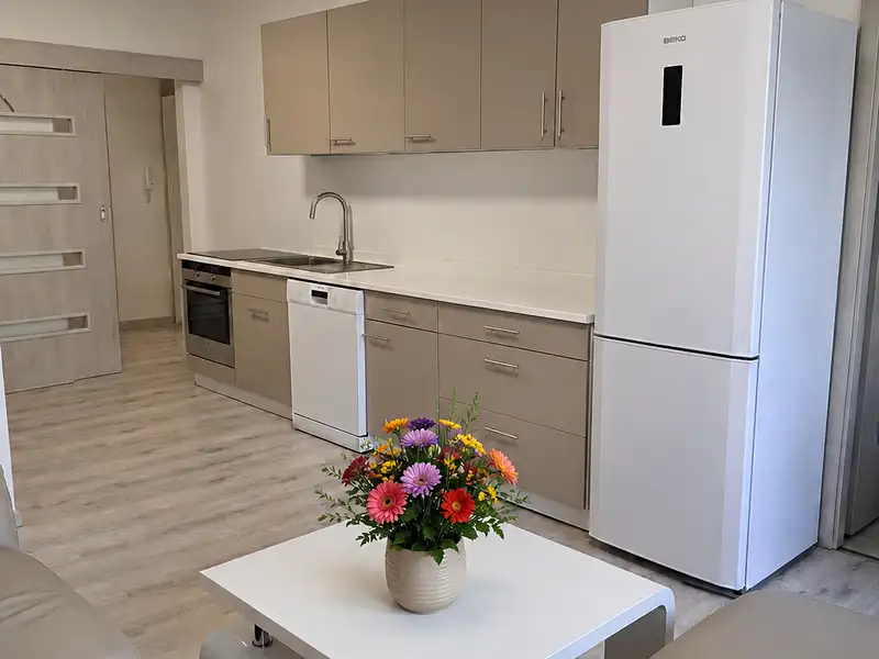 Prodej bytu 2+kk 43 m², Pardubice – náhled fotky 1