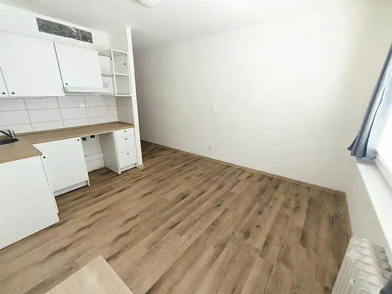 Pronájem bytu 1+kk 19 m², Chlumec – náhled fotky 2