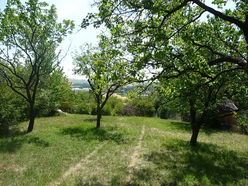 Prodej zahrady 1143 m², Slavkov u Brna – náhled fotky 3