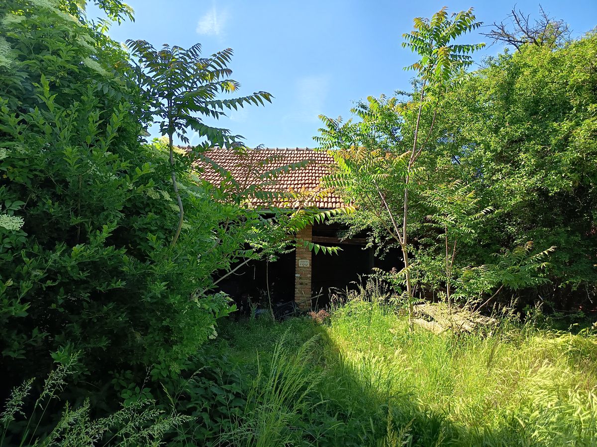 Prodej rodinného domu 140 m², pozemek 24410 m² – fotografie 5