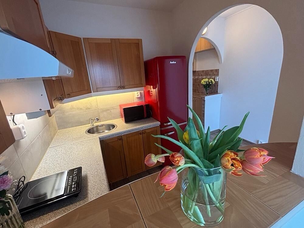 Pronájem bytu 1+kk 23 m²