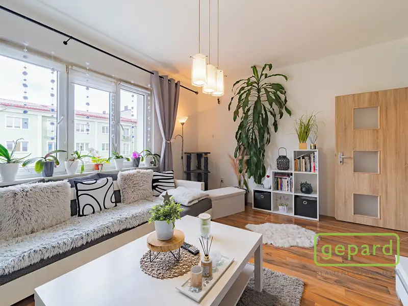 Prodej bytu 2+1 54 m², Ostrov – náhled fotky 1