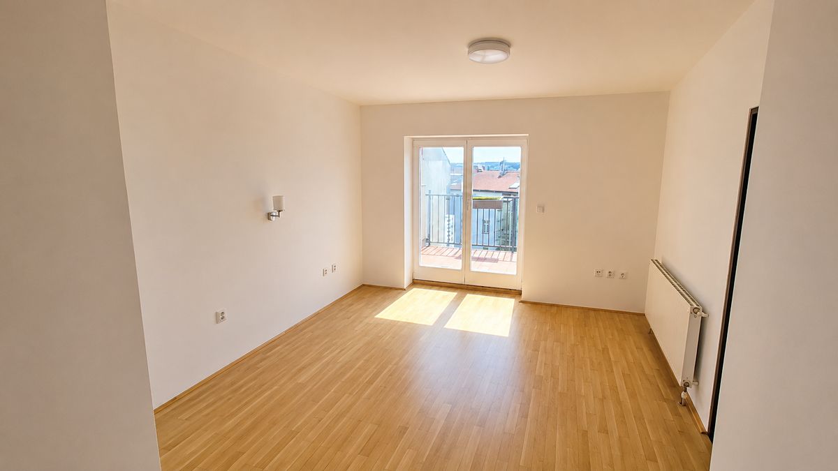 Pronájem bytu 4+1 219 m² – fotografie 4