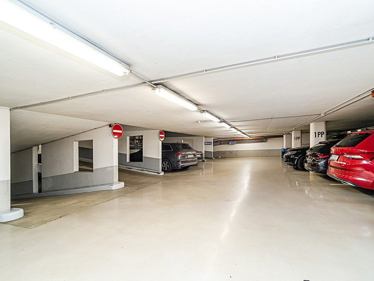 Pronájem komerčního prostoru, 225 m² (6 z 8)