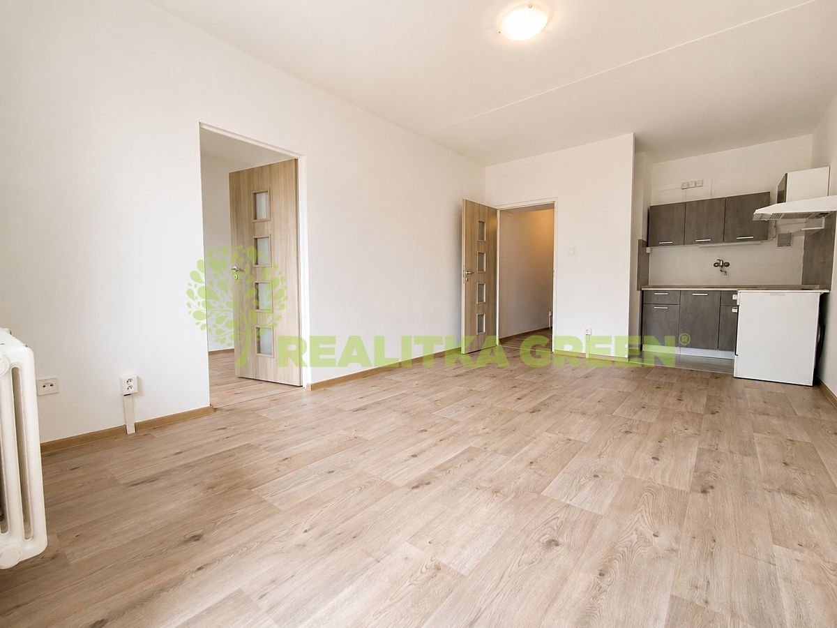Pronájem bytu 1+1 41 m²