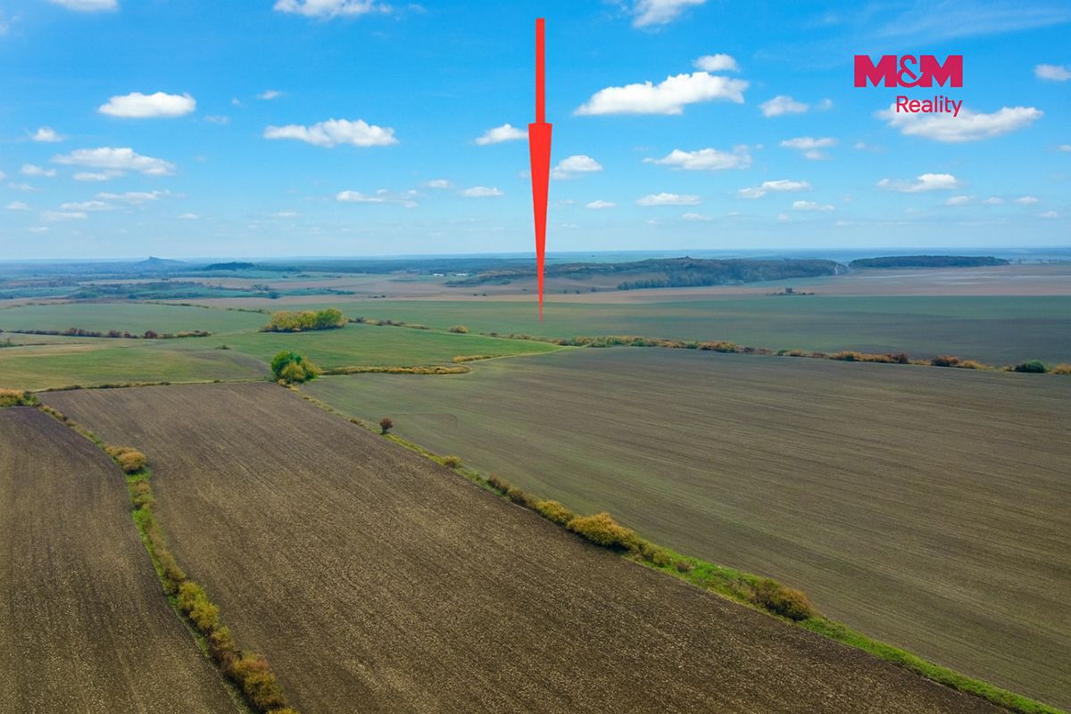 Prodej pole 9215 m² – fotografie 2