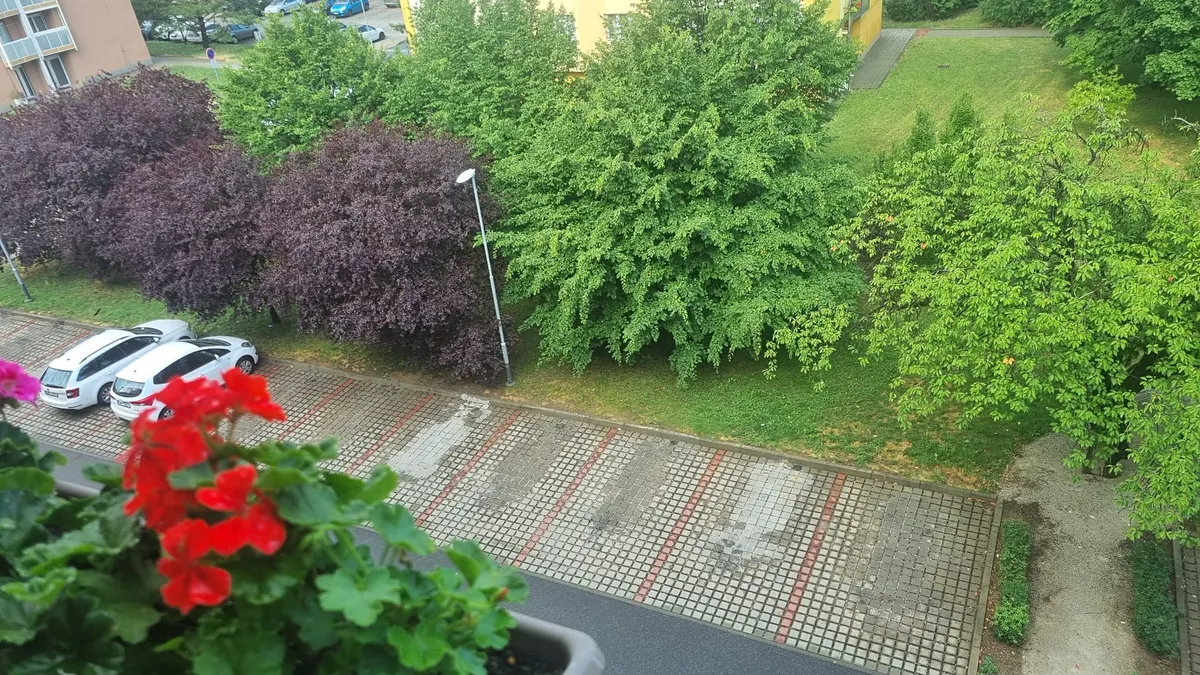 Fotka 20 z 30