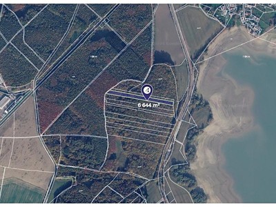 Prodej  lesa 6 644 m²