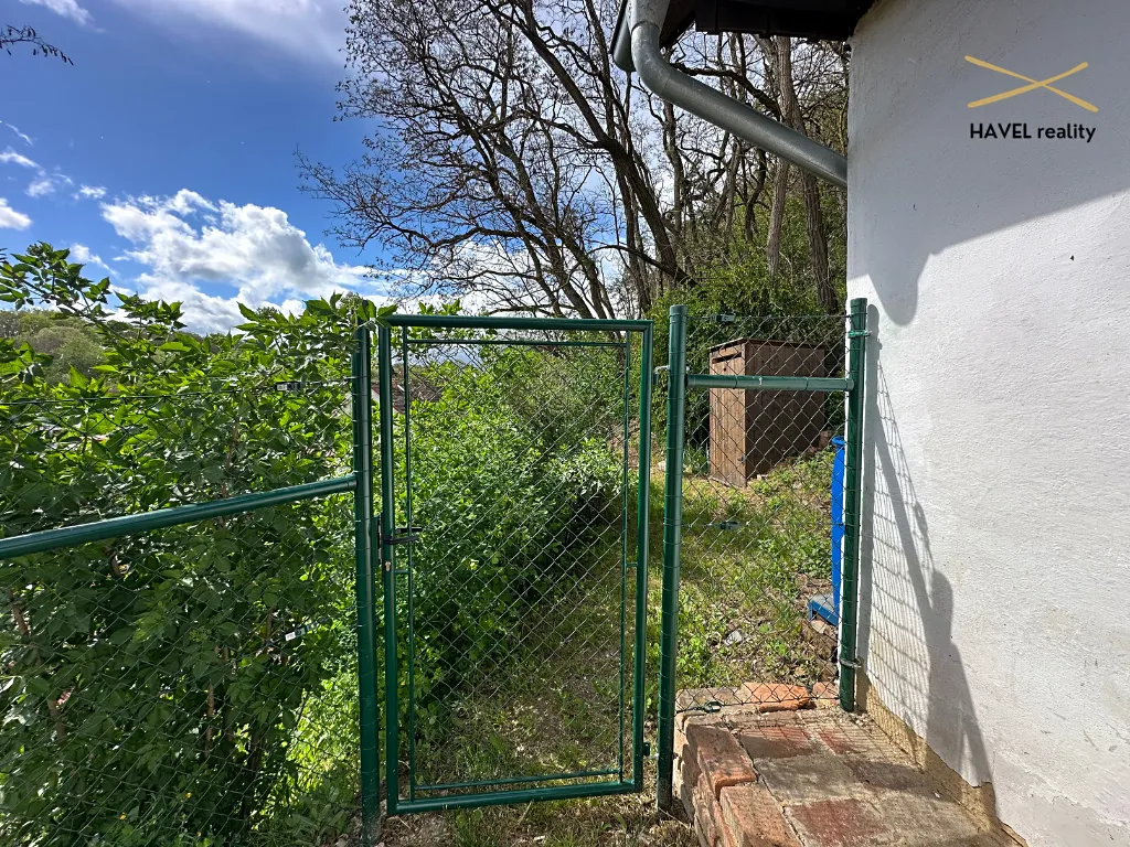 Fotka 10 z 30