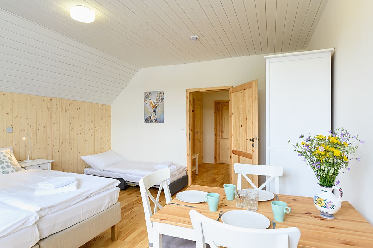 Prodej ubytovacího zařízení 394 m² – fotografie 5