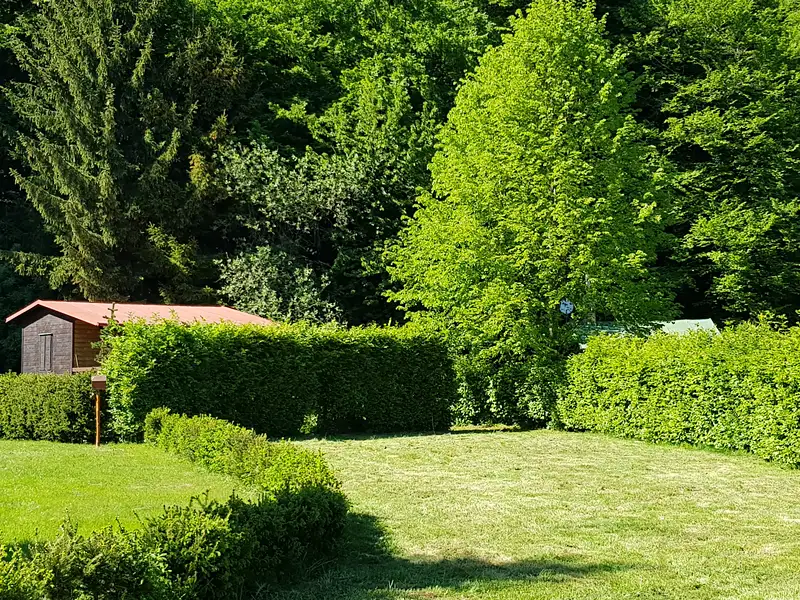 Prodej chaty 39 m², pozemek 530 m², Český Šternberk – náhled fotky 3