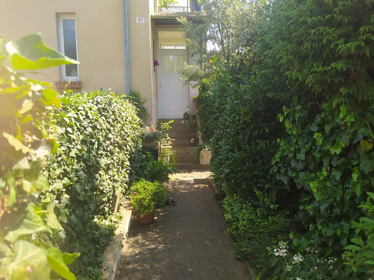 Prodej rodinného domu 71 m², pozemek 379 m² – fotografie 2