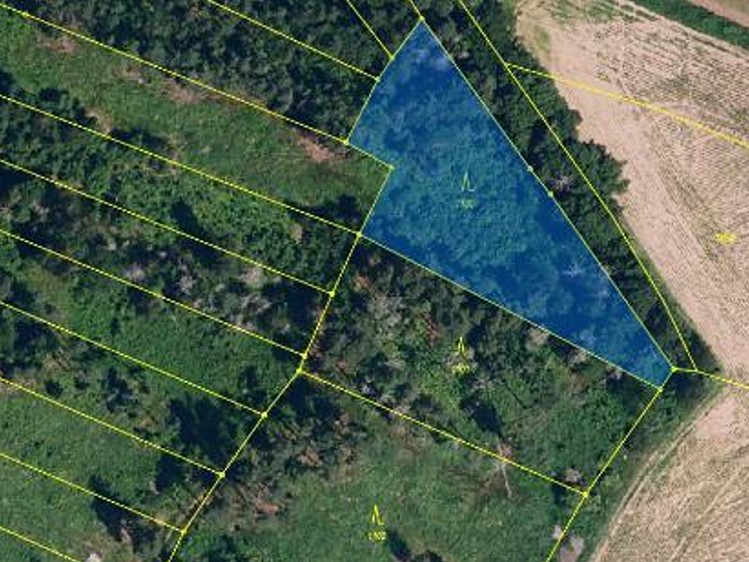 Grundstück zum Kauf, 2.352 m² (4 von 4)