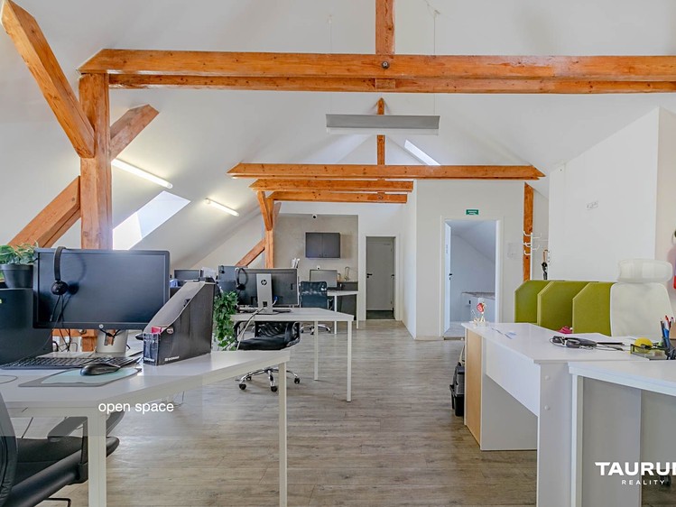 Gewerbefläche zur Miete, 265 m² (4 von 20)