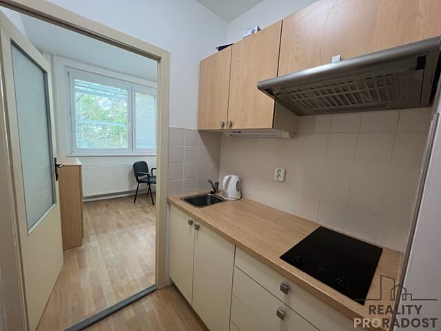 Pronájem bytu 1+1 14 m²