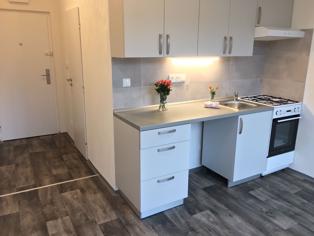 Pronájem bytu 1+1 38 m²