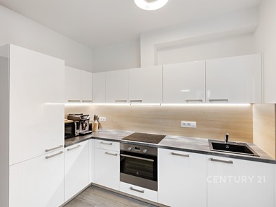 Pronájem bytu 2+kk 54 m²